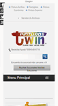 Mobile Screenshot of pinturastwin.com